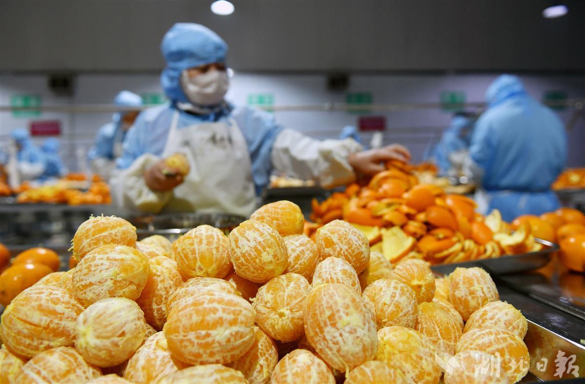 屈姑食品亮相全國農(nóng)業(yè)國際貿(mào)易高質(zhì)量發(fā)展基地建設(shè)交流會