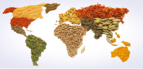 愛普股份2023年業(yè)績分析 營收近28億元，食品配料業(yè)務(wù)貢獻(xiàn)超七成收入